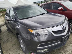 Acura MDX 2010 Gray