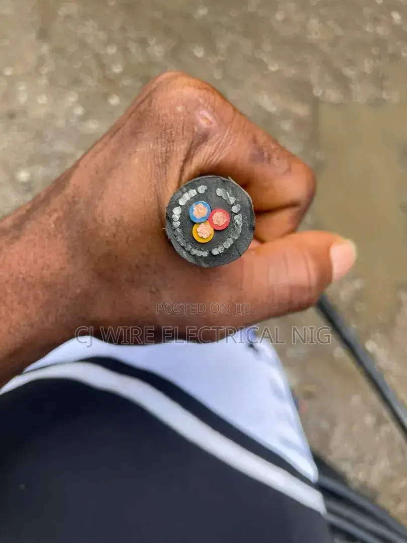 4mm 3core Armored Cable