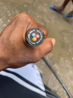 4mm 3core Armored Cable