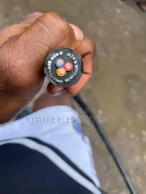 4mm 3core Armored Cable