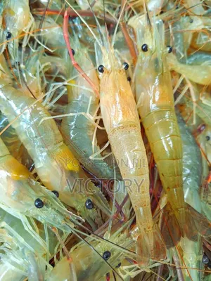 Crayfish(Clean and Affordable)