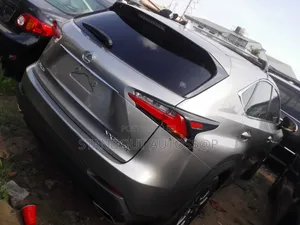 Lexus NX 2020 Gray
