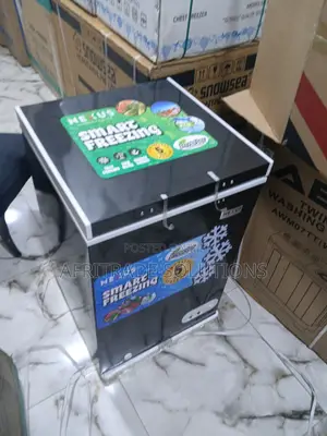 Portable Nexus 100l Inverter Chest Freezer