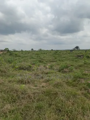 Acres of Profitable Oil Palm Farmland for Sale
