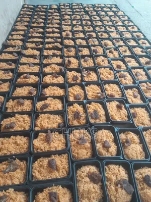 Metro Chef Catering Services Abuja