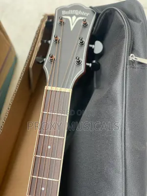 Bullfighter Electroacoustic/Semi Acoustic Guitar