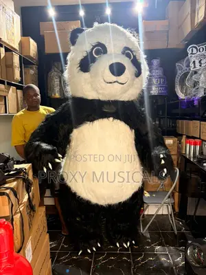 Panda Costume