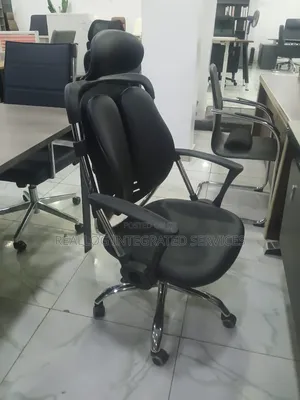 Ergonomic Kidney Design Office Chair