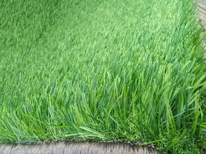 Artificial Grass Spanish Product 45mm High Quality Available