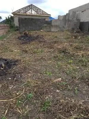 Half Plot of Land