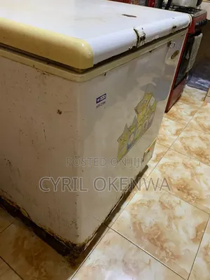 Heir Thermocool 219 Liter Freezer