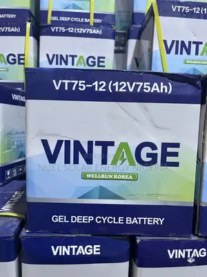 Vintage 75ah 12v Deep Cycle Gel Battery