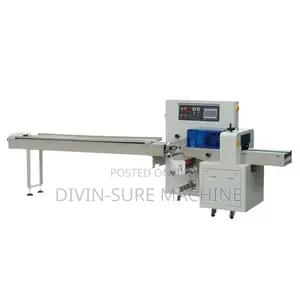 Pillow Type Packaging Machine