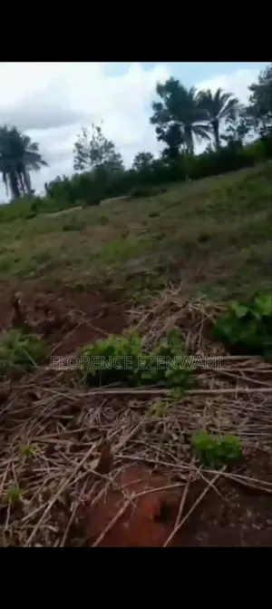 2 Plots Of Land
