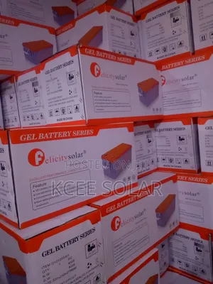 200ah 12v Felicity Battery 24v