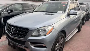 Mercedes-Benz M Class ML350 4dr SUV (3.5L 6cyl 7A) 2014 Silver