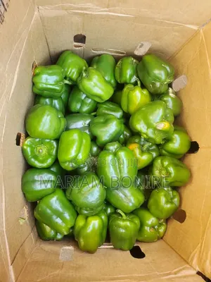 Fresh Green Pepper
