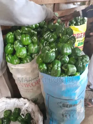 Fresh Green Pepper