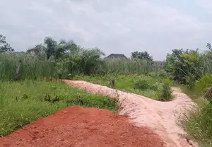 Premium 5plots of Land Together Within Maba/ Christ Embassy Camp