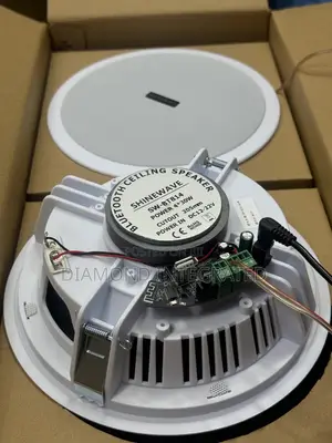 2 in 1 Lucky Tone Bluetooth Ceiling Speaker