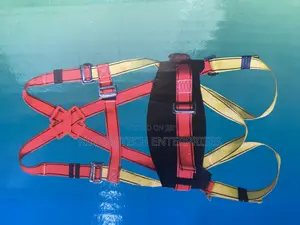 Body Harness