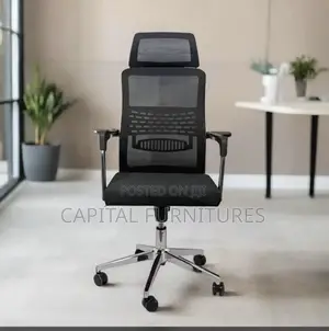 Imported Office Net Chair