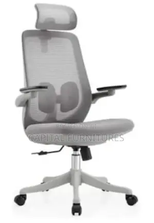 Executive Office Net Chair Imported