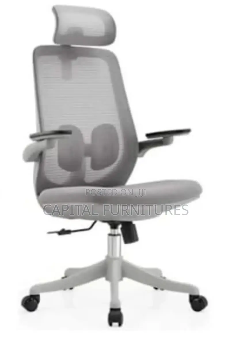 Executive Office Net Chair Imported