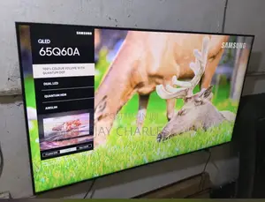Samsung 65 Inches Qled