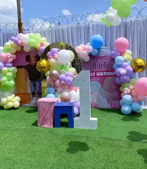 Kiddies Birthday Decor and Engagement Decoration Surprise Decorations