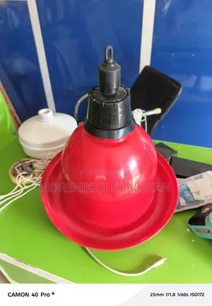 India Bell Drinker