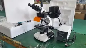 Fluorescent Microscope