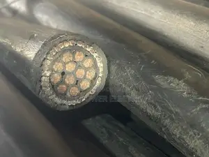 4mm 6core Armored Cable