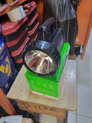 Dp Security Light