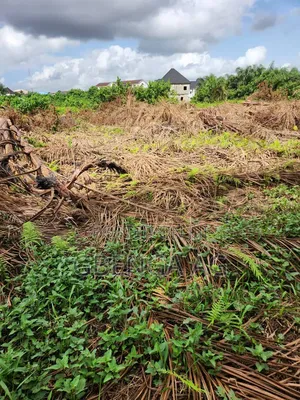 Half Plot of Land for Sale at Isheri Olofin Lagos