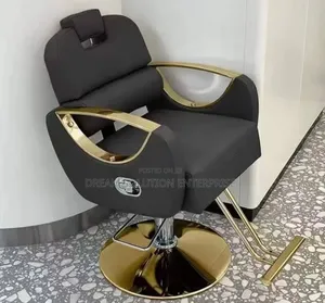 Standard Imported Saloon Chair