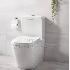 Original Executive Grohe Wc