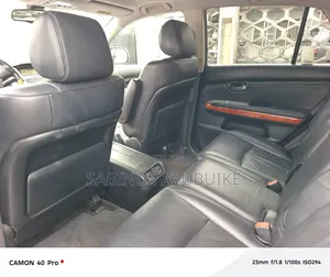 Lexus RX 330 2006 Silver