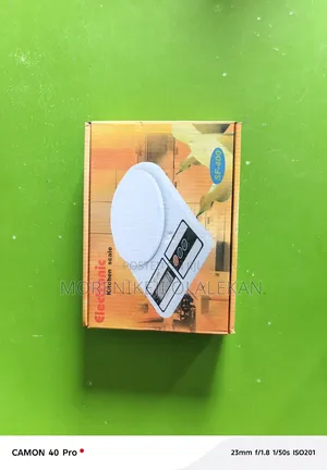 10kg Digital Scale