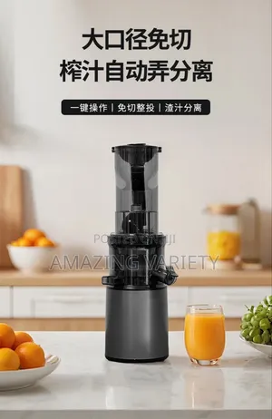 Slow Juicer Fruit Juice Separation