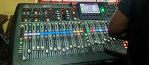 Live Sound Reinforcement Engineer.