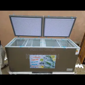 Snowsea Deep Freezer Bd 600