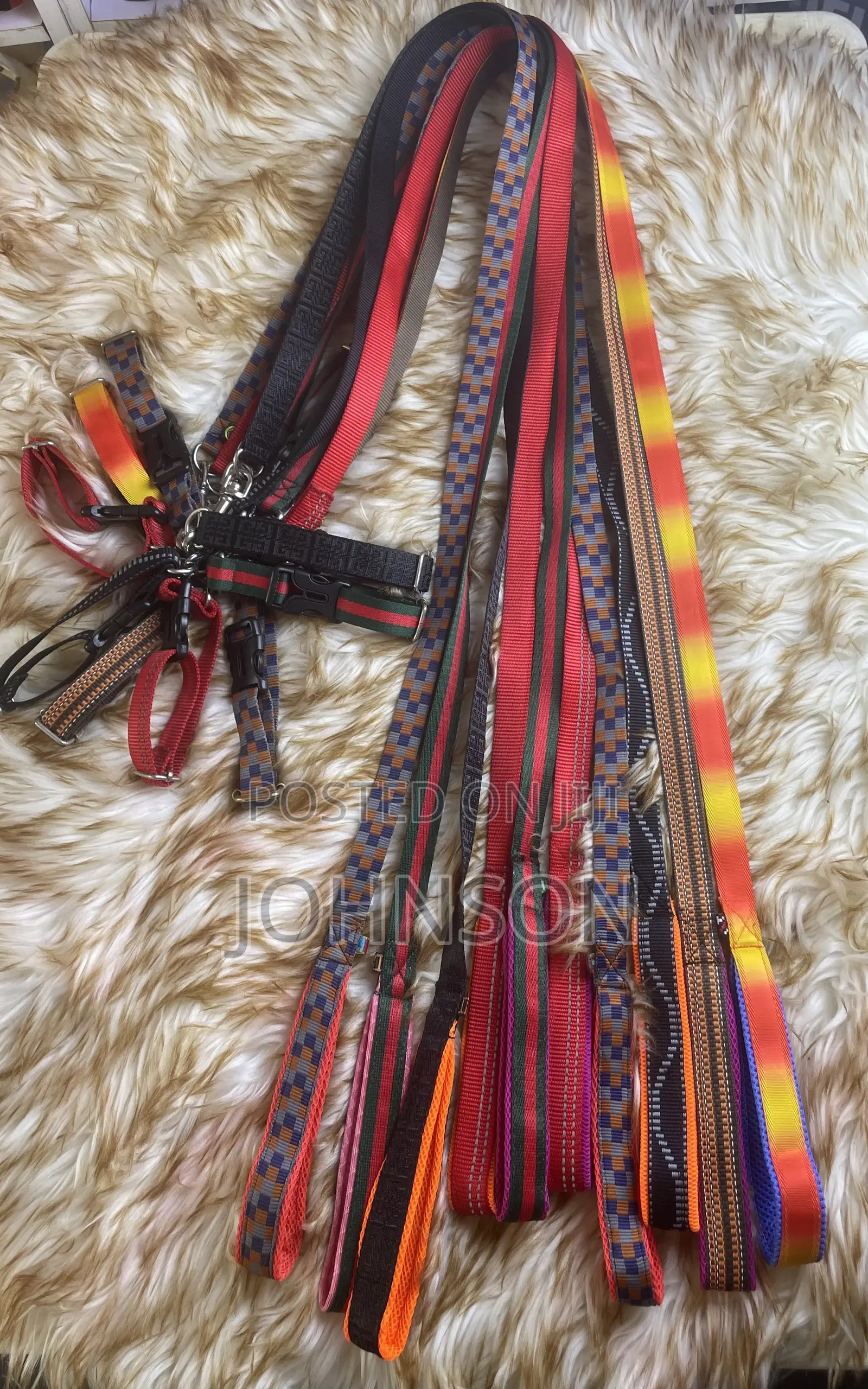 Puppy Leash Collar