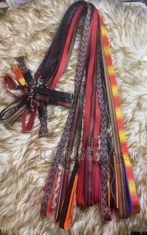 Puppy Leash Collar
