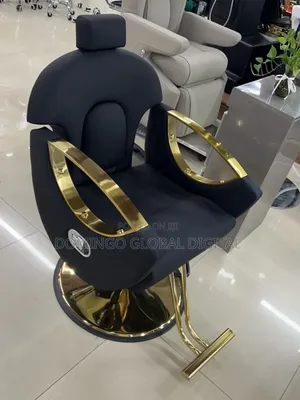 Salon Chair