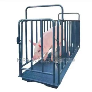 Platform Scale for Animals (Cow, Goat and Pigs, Etc)