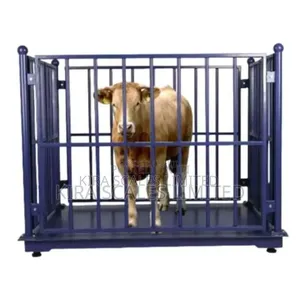 Platform Scale for Animals (Cow, Goat and Pigs, Etc)