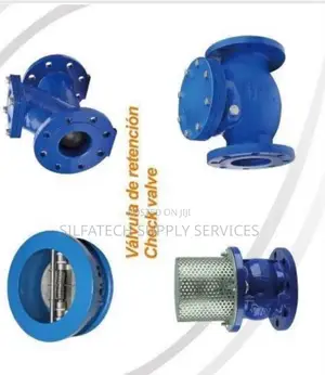 Check Valve