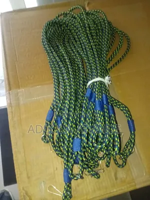 Security Lanyard