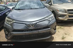 Toyota RAV4 XLE AWD (2.5L 4cyl 6A) 2016 Gray